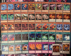 YUGIOH - WATER DRAGON DINOSAUR DECK - JURRAC GIGANOTO, ASTERO, DUOTERION, AEOLO - Image 1