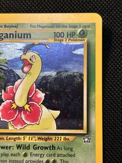 Pokemon TCG Meganium Neo Genesis Holo Rare Card #11/111 VLP - Image 2