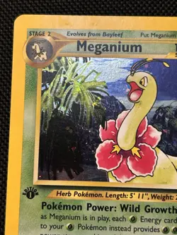 Pokemon TCG Meganium Neo Genesis Holo Rare Card #11/111 VLP - Image 3