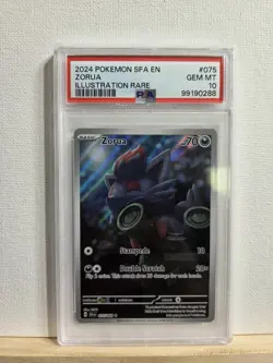 Pokemon TCG Shrouded Fable Zorua Card 75/64 Illustration Rare PSA 10 - Image 1
