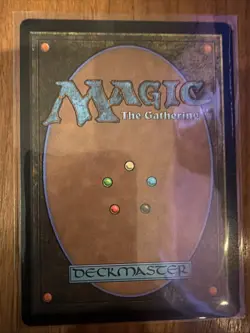 Magic: The Gathering Traveling Chocobo Borderless Chocobo Track Final Fantasy - Image 2
