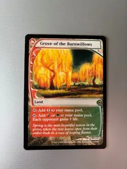 MTG Magic The Gathering Grove of the Burnwillows #176 Future Sight Regular - Image 1