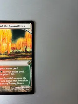 MTG Magic The Gathering Grove of the Burnwillows #176 Future Sight Regular - Image 3