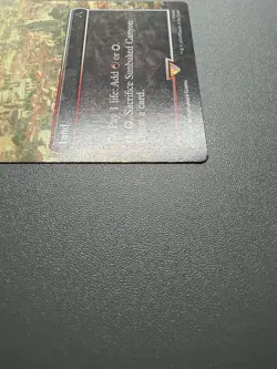 Sunbaked Canyon Borderless Universes Beyond Assassin's Creed Rare R 0111 NM ACR - Image 4