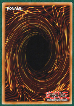 Amazoness Spy - Speed Duel: Arena of Lost Souls SBLS-EN021 - YuGiOh! Card - Image 2