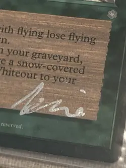 Whiteout | MtG Magic Ice Age | Signed By Artist Nene Thomas Certificate Of Auth - Image 2