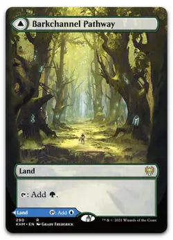 Barkchannel Pathway (Borderless) #290 (NM) Kaldheim KHM Magic MTG - Image 1