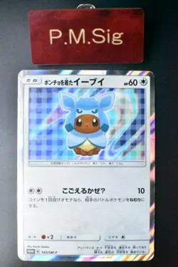 Poncho Wearing Eevee 143/SM-P Eevee Mega Campaign Promo 2017 Holo Pokemon Card - Image 1