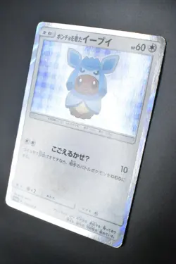 Poncho Wearing Eevee 143/SM-P Eevee Mega Campaign Promo 2017 Holo Pokemon Card - Image 4