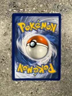 Pokemon TCG Cards Scorbunny SWSH244 Black Star Promo Holo - Image 2