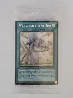 Wishes for Eyes of Blue - SDWD-EN042 - Secret Rare 1st Edition NM - Yu-Gi-Oh - Image 1