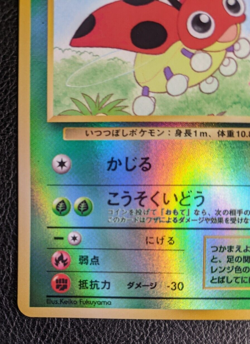 Pokemon Ledyba Japanese Southern Islands Rare Reverse Holo 7/18 LP - Image 5