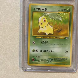 1999 Pokemon Japanese Neo Premium File: Chikorita CGC 9 FREE SHIPPING 152 - Image 5