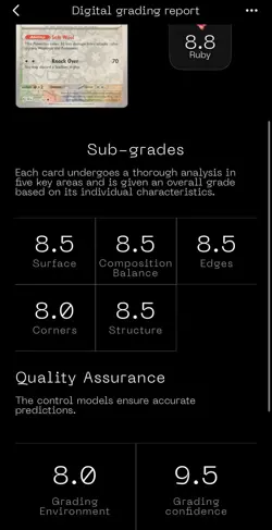 Dubwool 125/142 Reverse Holo Uncommon Pokemon TCG Stellar Crown Card - Image 3