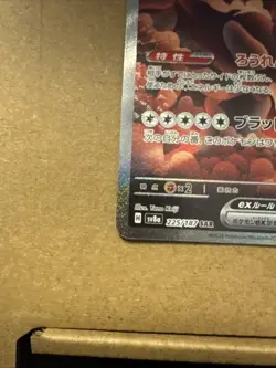 Bloodmoon Ursaluna ex SAR 225/187 sv8a Terastal Festival Pokemon Card Japanese - Image 2