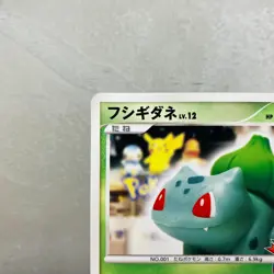 (EX) Bulbasaur 030/DPt-P Pokemon Center 10th Anniversary Promo 2009 Japan Card - Image 3