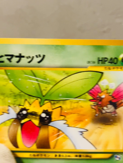 (NM-) Sunkern No. 191 Natta Wake Promo 2000 Old Back Japanese Pokemon Card - Image 2
