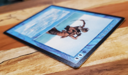 MTG Old Man of the Sea Arabian Nights Lightly played - Image 2