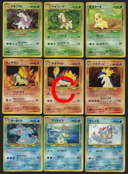 Pokemon Neo Premium File 1 Promo Folder 9 Card Set Japanese - Image 3