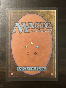 Magic the Gathering ~ MTG ~ 1x Northern Paladin ~ 3rd Edition ~ M/NM ~ REVISED - Image 2