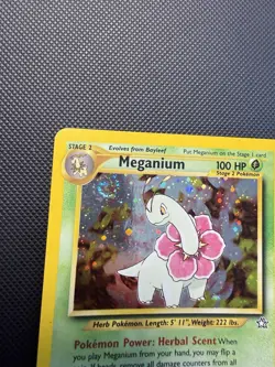 Meganium 10/111 Holo Unlimited Neo Genesis Pokemon Card LP - Image 3