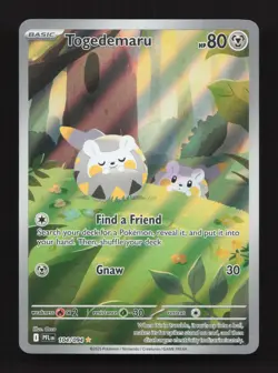 Togedemaru Holo 104/094 Holo ME02: Phantasmal Flames Pokemon Card - Image 1
