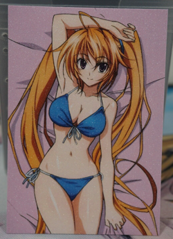 Irina Shidou Blue Bikini High School DxD Sexy Waifu Textured Custom Card - Image 1