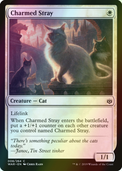 MTG Charmed Stray Foil ** War of the Spark ** English (NM) - Image 1