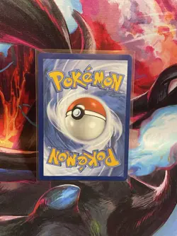 🌀SWIRL🌀 Kyogre 034/132 Cosmos Holo Knock Out Collection Box Promo Pokemon - Image 5