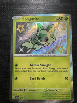 Pokemon Paldean Fates Sprigatito Baby Shiny Rare 076 Black Star Promo NM - Image 1