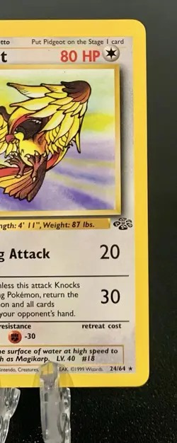 Pokemon TCG Jungle Pidgeot #24 1st Edition Non Holo Rare - Image 2