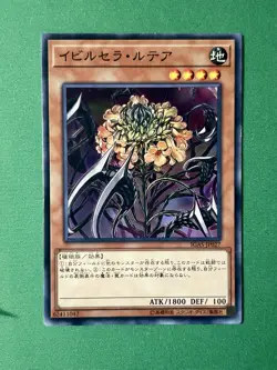 Yugioh TCG: Vintage & Modern Bulk Lot (375+) Vintage Speed Duel Cards + JP Card - Image 5