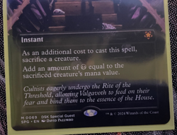 Sacrifice (Borderless) Special Guests Regular MTG NM Special Guest - Image 2