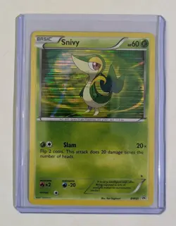 Pokemon TCG Snivy BW Black Star Promos BWQ1 Holo Lot of 6 Cards - Image 2