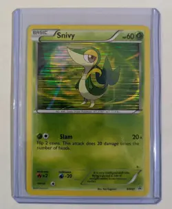 Pokemon TCG Snivy BW Black Star Promos BWQ1 Holo Lot of 6 Cards - Image 3