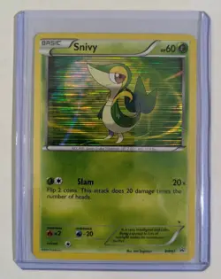 Pokemon TCG Snivy BW Black Star Promos BWQ1 Holo Lot of 6 Cards - Image 4
