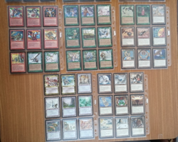 MtG Alliances Full Set Alleanze Full Set with signed FORCE of WILL (English) - Image 2