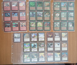 MtG Alliances Full Set Alleanze Full Set with signed FORCE of WILL (English) - Image 5