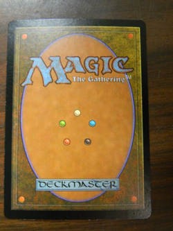 MTG Urza's Destiny FOIL Rare Tethered Griffin Excellent - NM Condition - Image 2