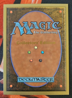 Collectors' Edition - Kudzu - CE - MTG - Magic the Gathering - NM - Near Mint - Image 2