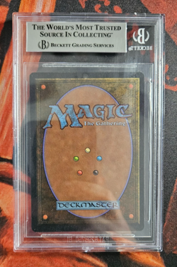 Arabian Nights - Naf's Asp - Light - MTG - BGS 8.5 NM-MT+ - Image 2