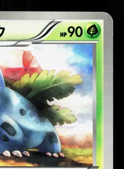 Ivysaur 002/069 Dark Rush LP Japanese Pokemon Card TCG - Image 3