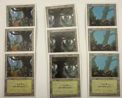 MTG - 3 Of Each Forest - Revised Edition - Magic The Gathering - NM Basic Land - Image 1