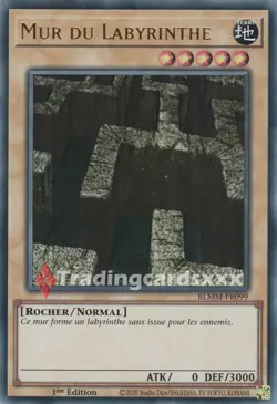 Yu-Gi-Oh! Mur du Labyrinthe : UR BLMM-FR099 - Image 1