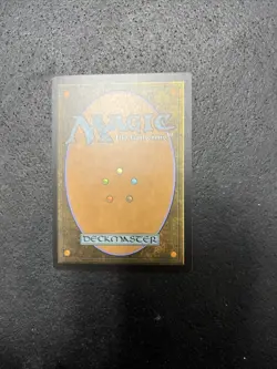 Arcane Adaptation Ixalan MTG NM - Image 2