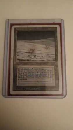 Magic The Gathering Tundra Revised Edition Dual Land MP/HP - Image 1