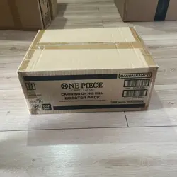 OP-13 CARRYING ON HIS WILL One Piece TCG Sealed Case 12x Box OP13 ENGLISH - Image 1
