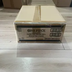OP-13 CARRYING ON HIS WILL One Piece TCG Sealed Case 12x Box OP13 ENGLISH - Image 2