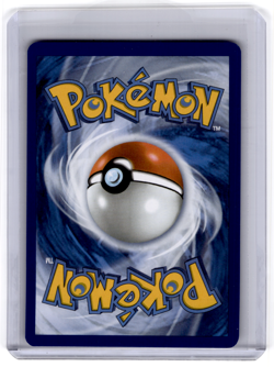 2025 Pokemon Phantasmal Flames PFL EN Dewgong Illustration Rare #097/094 - Image 2