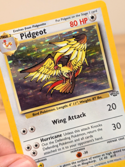 1999 Pidgeot Holo Rare Jungle Set 8/64 Bird Wotc Vtg LP - Image 2